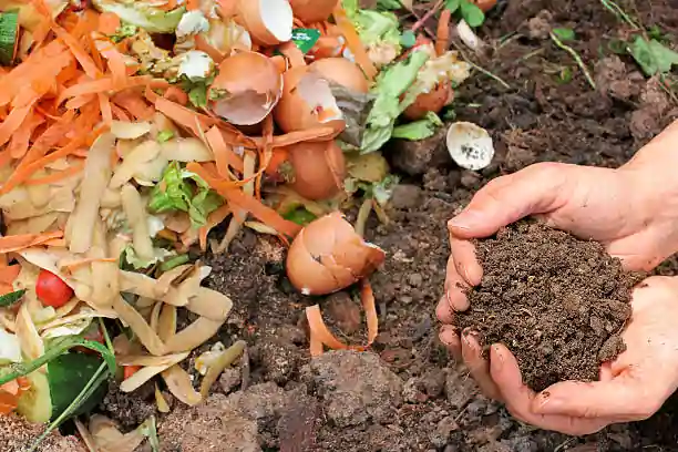 Gardening - How to save money 8 Ways? 3 Make your Own Compost